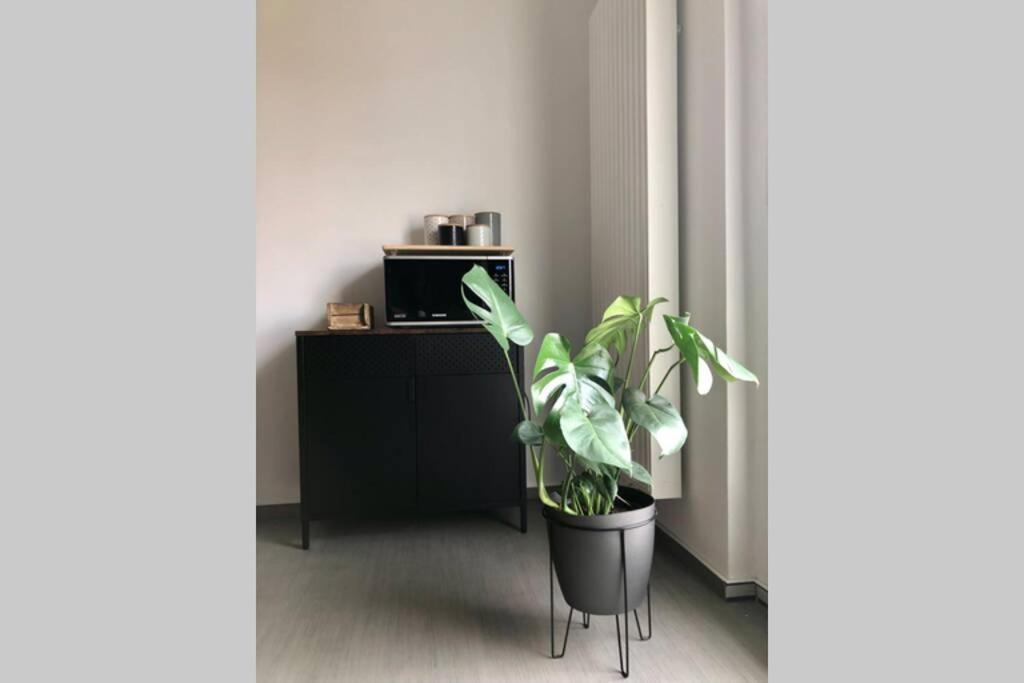 Liebevoll Sanierte, Grosszuegige Stadtwohnung, 70 Qm Apartment Quedlinburg