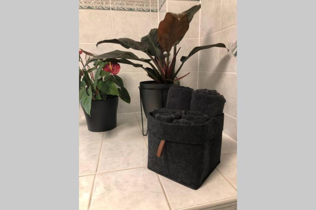 Apartment Liebevoll Sanierte, Grosszuegige Stadtwohnung, 70 Qm *